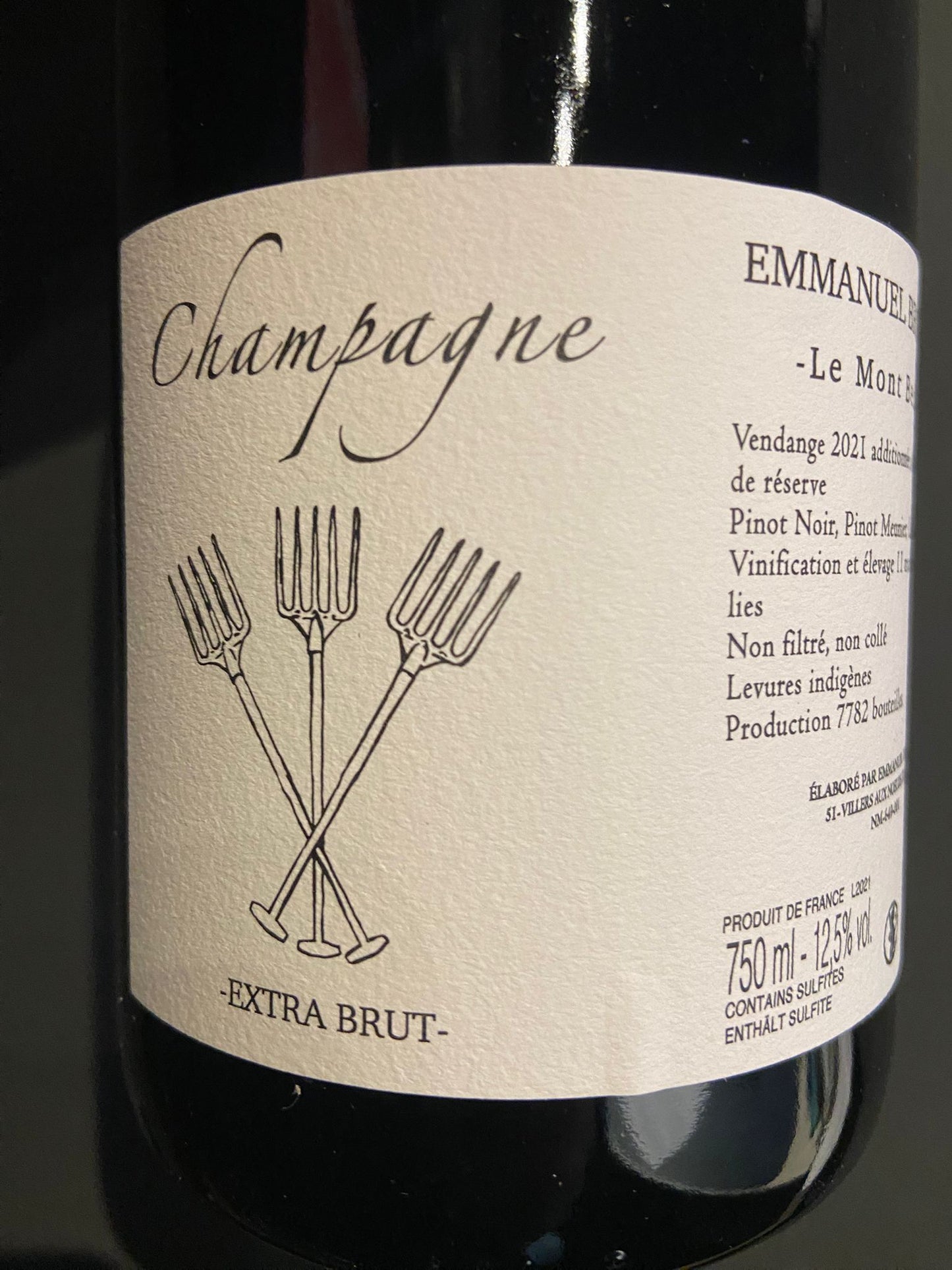 EMMANUEL BROCHET - LE MONT BENOIT