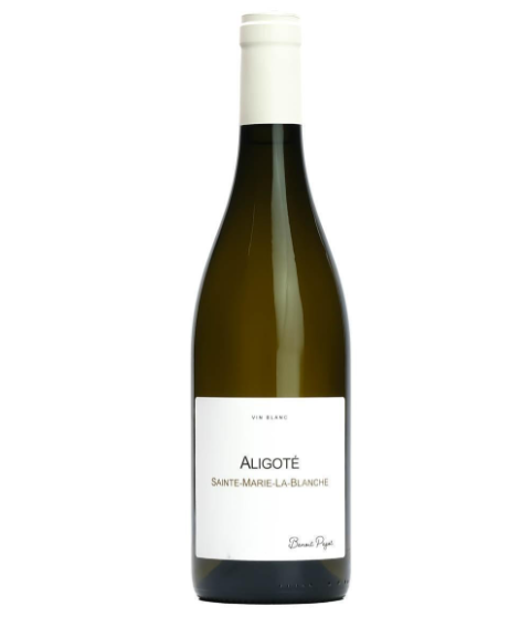 BENOIT PAGOT - ALIGOTE' Saint Marie La Blanche 2021