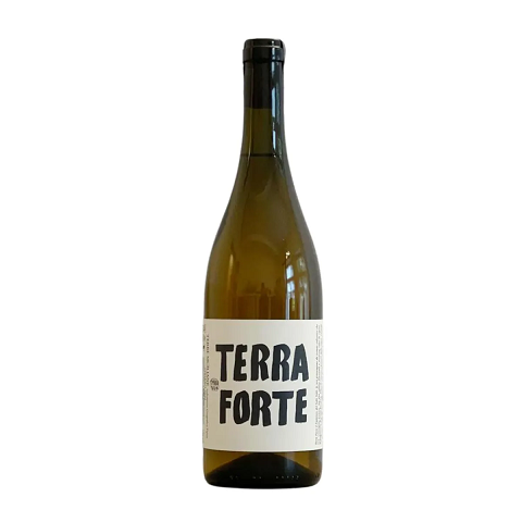 TANCA NICA -  TERRA FORTE